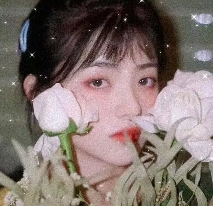 赖猫的狮子倒影